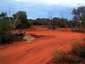 Tallaringa Conservation Park - Palm Beach Accommodation 0