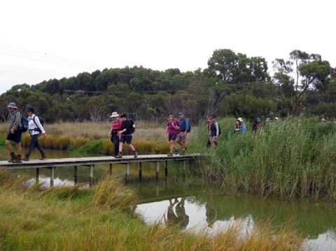 Lavender Federation Trail - Palm Beach Accommodation 1