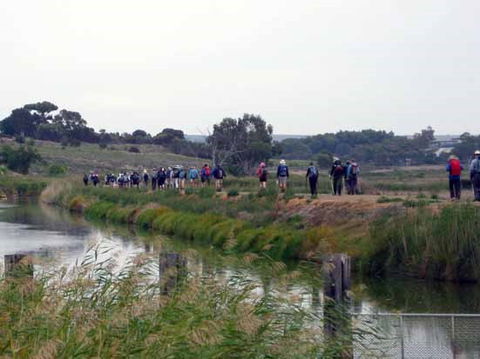 Lavender Federation Trail - Palm Beach Accommodation 2