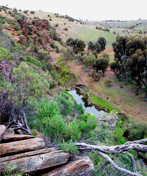 Lavender Federation Trail - Palm Beach Accommodation 3