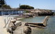 Edithburgh Tidal Pool - thumb 0