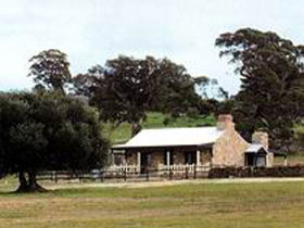 Fernfield Wines - Palm Beach Accommodation 0