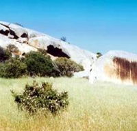 Ucontitchie Hill - Palm Beach Accommodation
