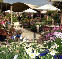 Serenity Nursery - Palm Beach Accommodation