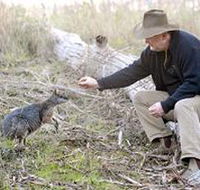Sinclair's Gully - Palm Beach Accommodation