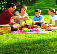 Bruny Island Berry Farm - Palm Beach Accommodation