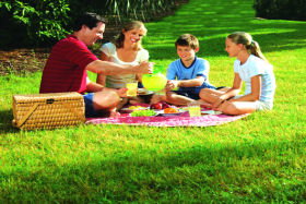 Bruny Island Berry Farm - Palm Beach Accommodation 0