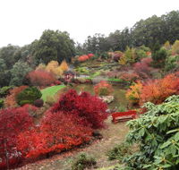 Emu Valley Rhododendron Garden - Palm Beach Accommodation