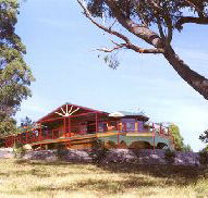 Barringwood Park Vineyard - Palm Beach Accommodation