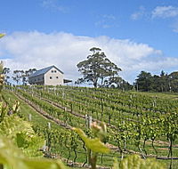 Bruny Island Premium Wines Bar and Grill - Palm Beach Accommodation