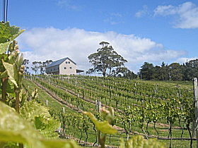 Bruny Island Premium Wines Bar And Grill - Palm Beach Accommodation 0