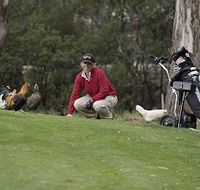 Tasmania Golf Club - The - Palm Beach Accommodation