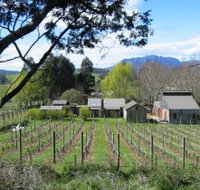 Wilmot Hills Vineyard - Palm Beach Accommodation