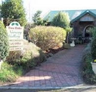 Two Oaks Nursery Gallery and Cafe - Palm Beach Accommodation