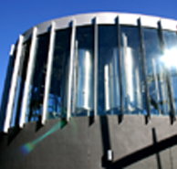 Moo Brew - Palm Beach Accommodation