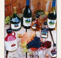 Hartzview Vineyard - Palm Beach Accommodation