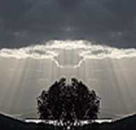 aart. Gallery of Fine Art - Palm Beach Accommodation