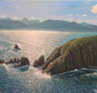 Colville Street Art Gallery - Palm Beach Accommodation