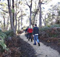Bridport Walking Track - Palm Beach Accommodation