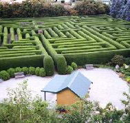 Westbury Maze and Tea Room - Palm Beach Accommodation