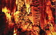 King Solomons Cave - thumb 0