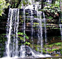 Mt Field National Park - Palm Beach Accommodation