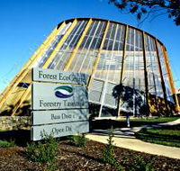 Forest EcoCentre - Palm Beach Accommodation