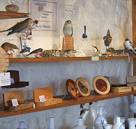 Touchwood Craft Gallery Gifts and Cafe - Palm Beach Accommodation