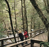 Franklin River Nature Trail - Palm Beach Accommodation