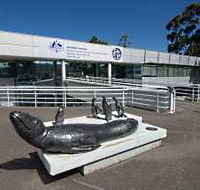 Australia's Antarctic Headquarters - Palm Beach Accommodation