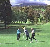 Deloraine Golf Course - Palm Beach Accommodation