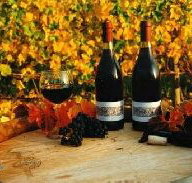 Craigow Vineyard - Palm Beach Accommodation