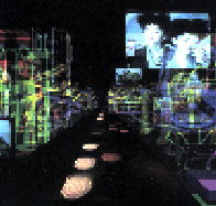 Academy Gallery - Palm Beach Accommodation