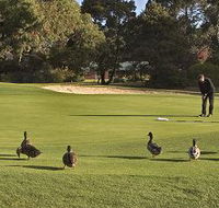 Royal Hobart Golf Club - Palm Beach Accommodation