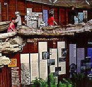 West Coast Visitor Information and Booking Centre - Palm Beach Accommodation