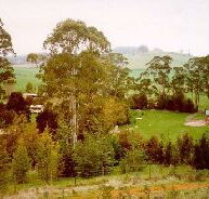The Tasmanian Arboretum - Palm Beach Accommodation