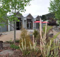 Tin Dragon Interpretation Centre and Cafe - Palm Beach Accommodation