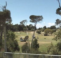 Greens Beach Golf Course - Palm Beach Accommodation