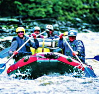 Franklin - Gordon Wild Rivers National Park - Palm Beach Accommodation