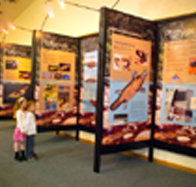 Platypus Experience - Palm Beach Accommodation