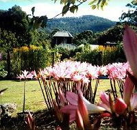 Blueberry Cottage Open Gardens - Palm Beach Accommodation