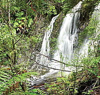 Hogarth Falls - Palm Beach Accommodation