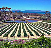 Kate's Berry Farm - Palm Beach Accommodation