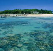 Green Island Fringing Reefs - Palm Beach Accommodation
