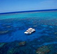 Norman Reef Dive Site - Palm Beach Accommodation