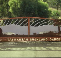 Tasmanian Bushland Garden - Palm Beach Accommodation