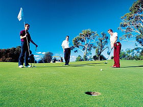 Queenstown Golf Club - Palm Beach Accommodation 0