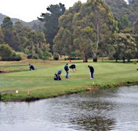 Penguin Golf Course - Palm Beach Accommodation
