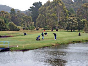 Penguin Golf Course - Palm Beach Accommodation 0