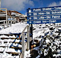 Ben Lomond National Park - Palm Beach Accommodation